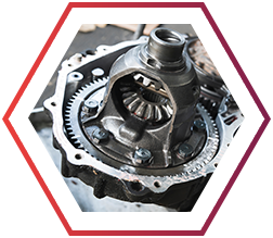 Differential Assembly Automatic Transmission Rebuild and Service in Auto Garage services.